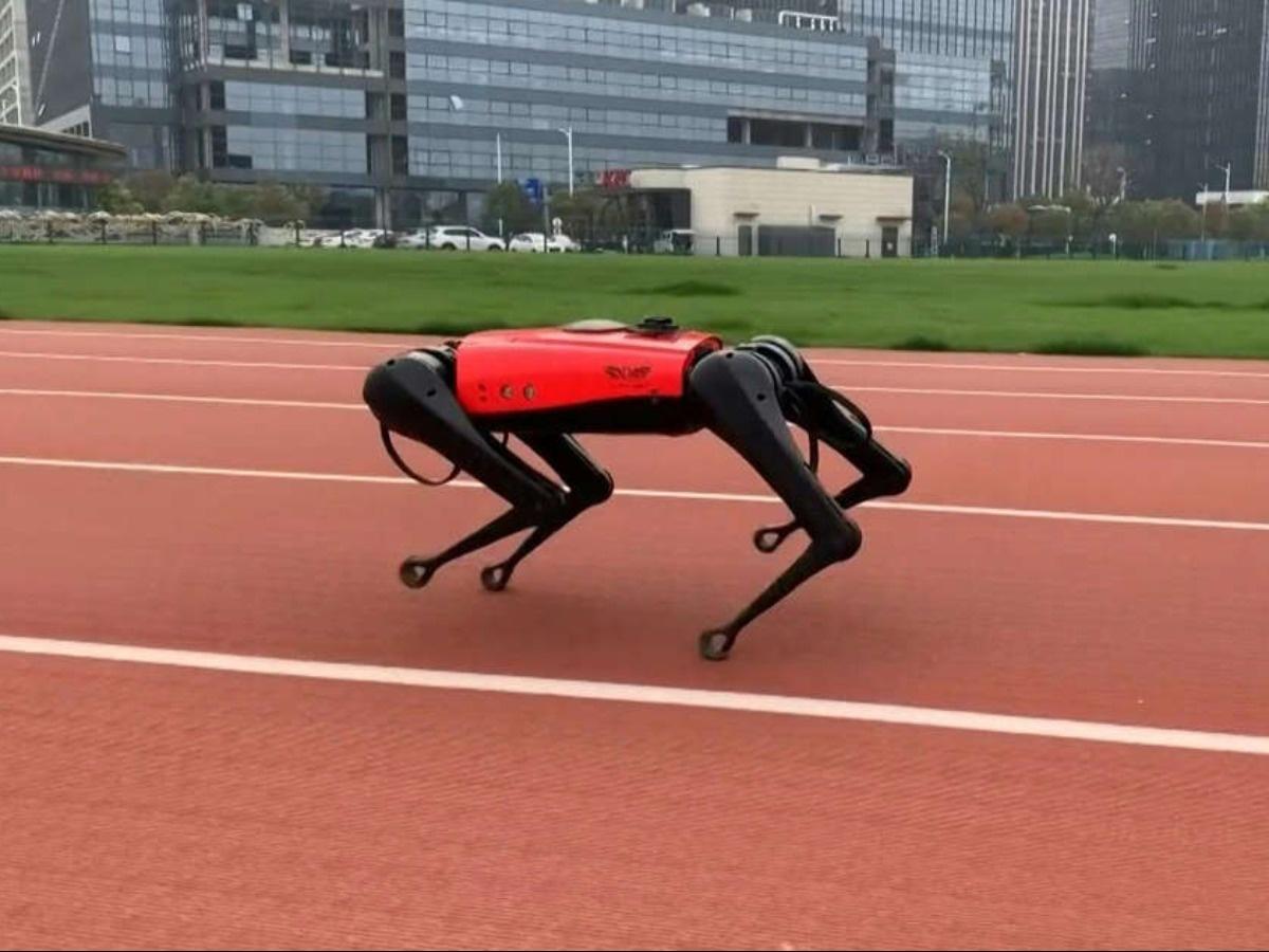 Trung Quốc cho ra mắt chó robot tích hợp công nghệ AI