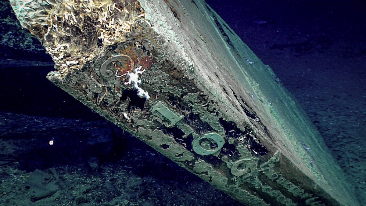 Tìm thấy xác con tàu cổ có niên đại hơn 2000 năm ở dưới đáy biển