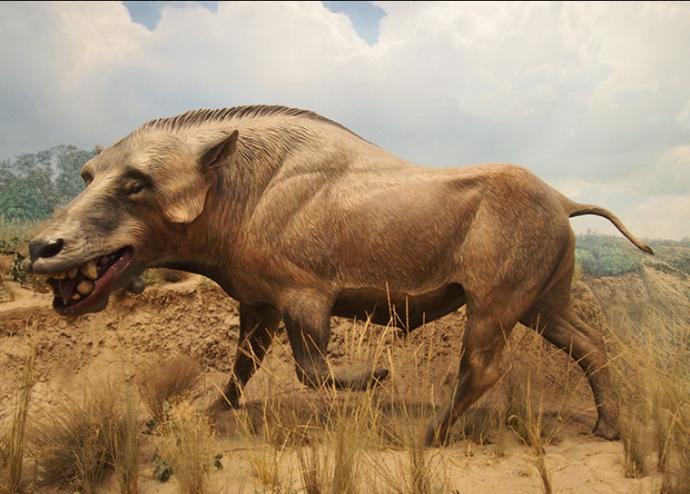 Hóa thạch 66 triệu năm thể hiện sự tiến hóa của thú tiền sử