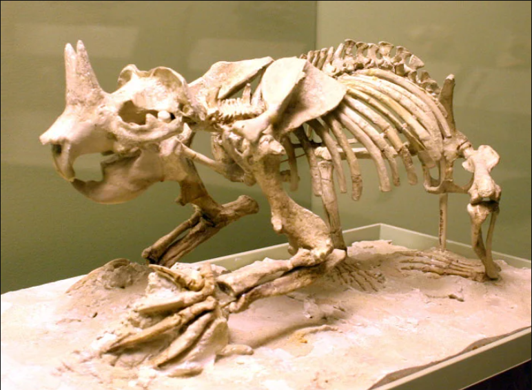 Ba loài thú tiền sử được cho là tổ tiên của thú móng guốc ngày nay