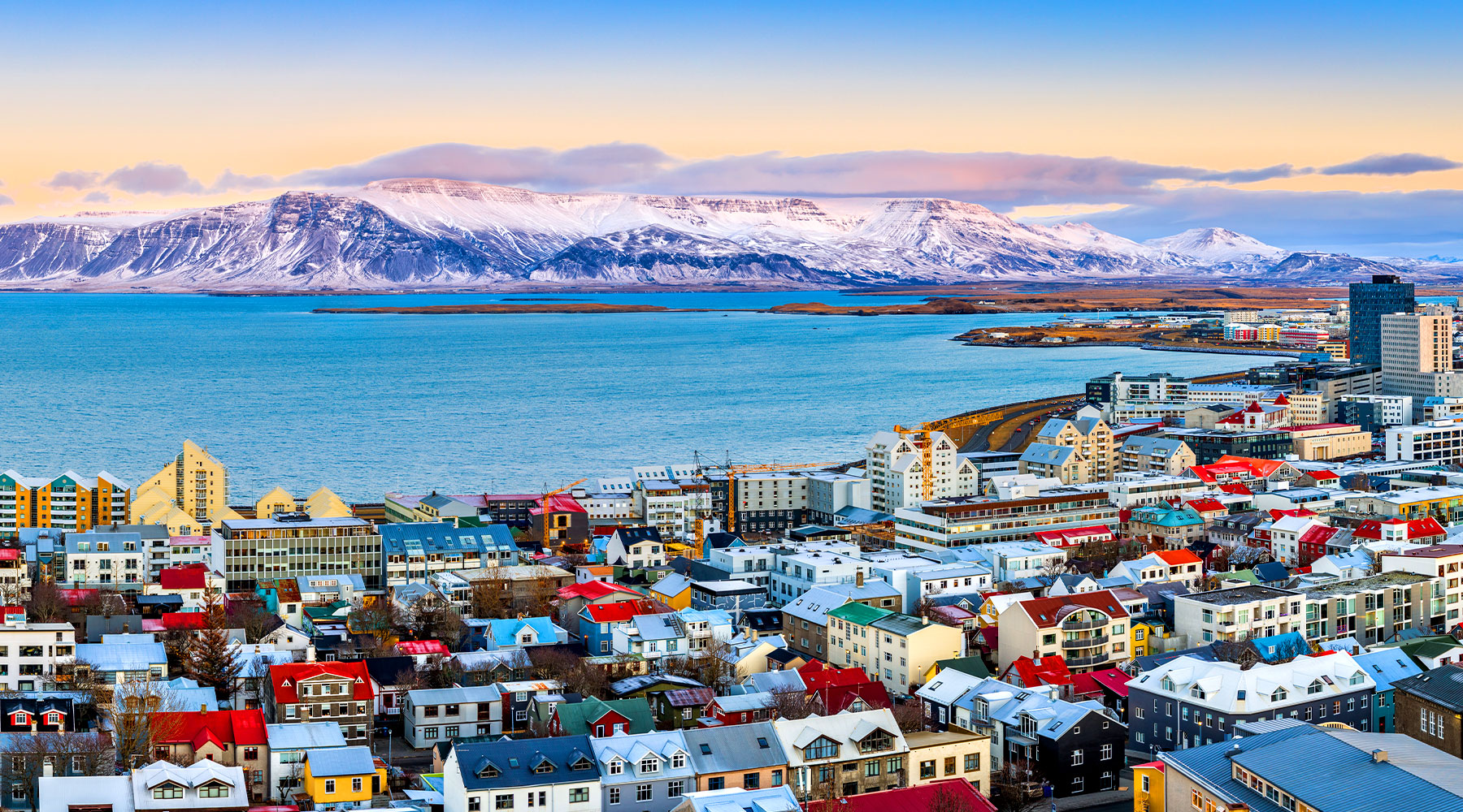 Biến đổi khí hậu có thể khiến muỗi xuất hiện tại Iceland trong tương lai
