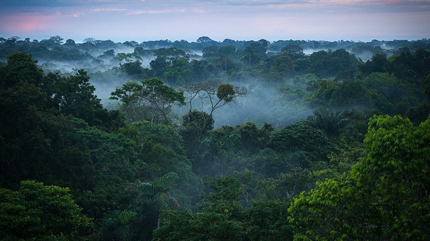 Rừng Amazon đã không còn điều hòa được khí hậu Trái đất 
