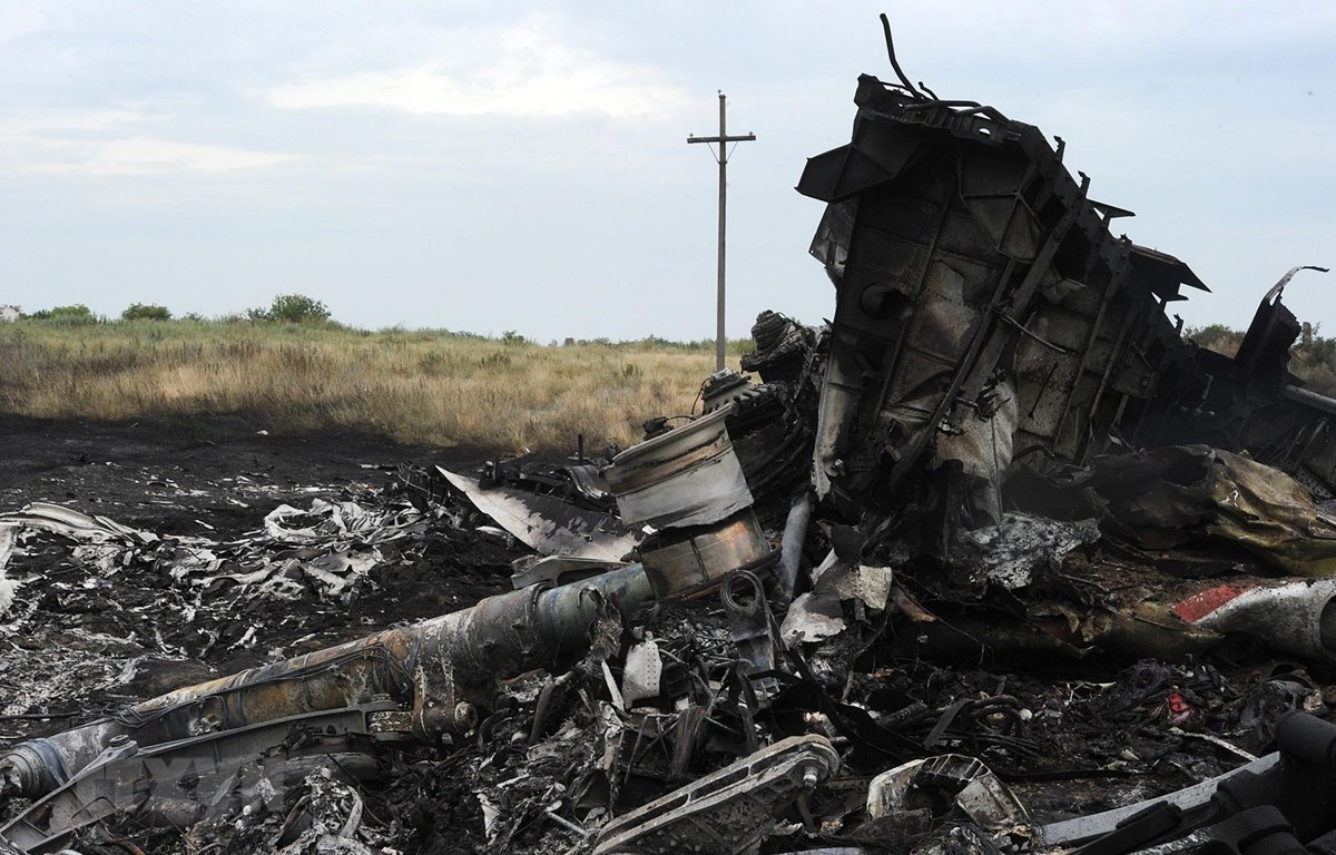 Một cậu bé đã có dự cảm về tai nạn máy bay MH17 của Malaysia Airlines năm 2014